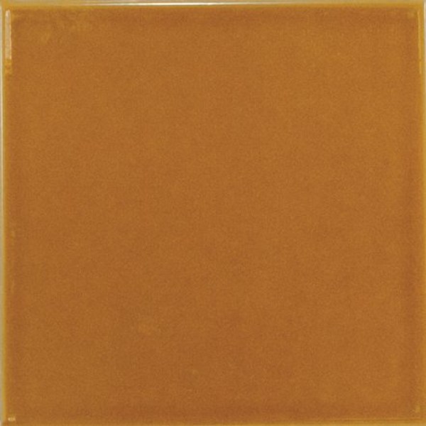 equipe/evolution/equipe-evolution-amber-15x15