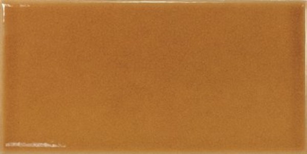 equipe/evolution/equipe-evolution-amber-75x15