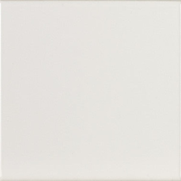 equipe/evolution/equipe-evolution-blanco-brillo-15x15