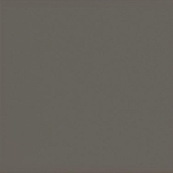 equipe/evolution/equipe-evolution-gris-oscuro-15x15