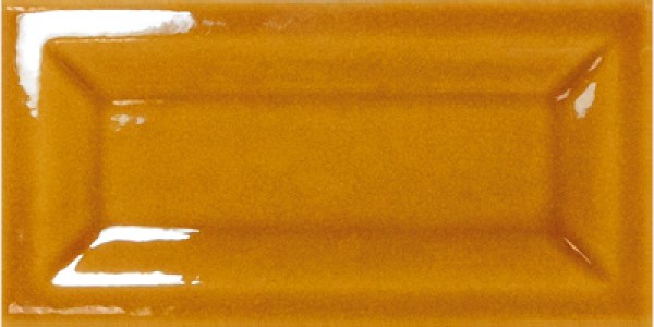 equipe/evolution/equipe-evolution-inmetro-amber-75x15