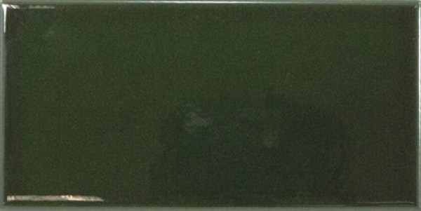 equipe/evolution/equipe-evolution-victorian-green-75x15