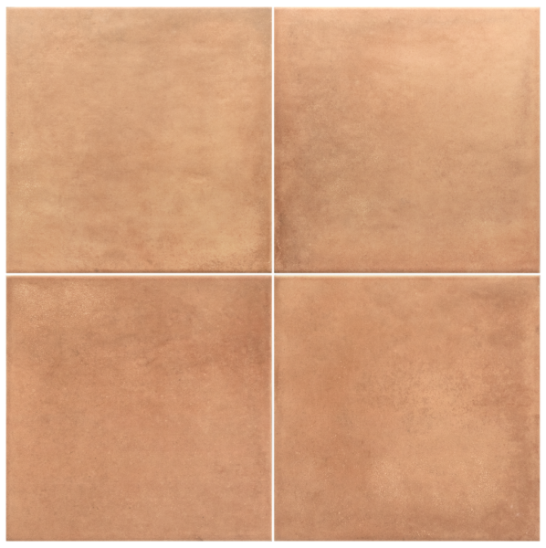 product2/equipe/ares/equipearescotto20x20